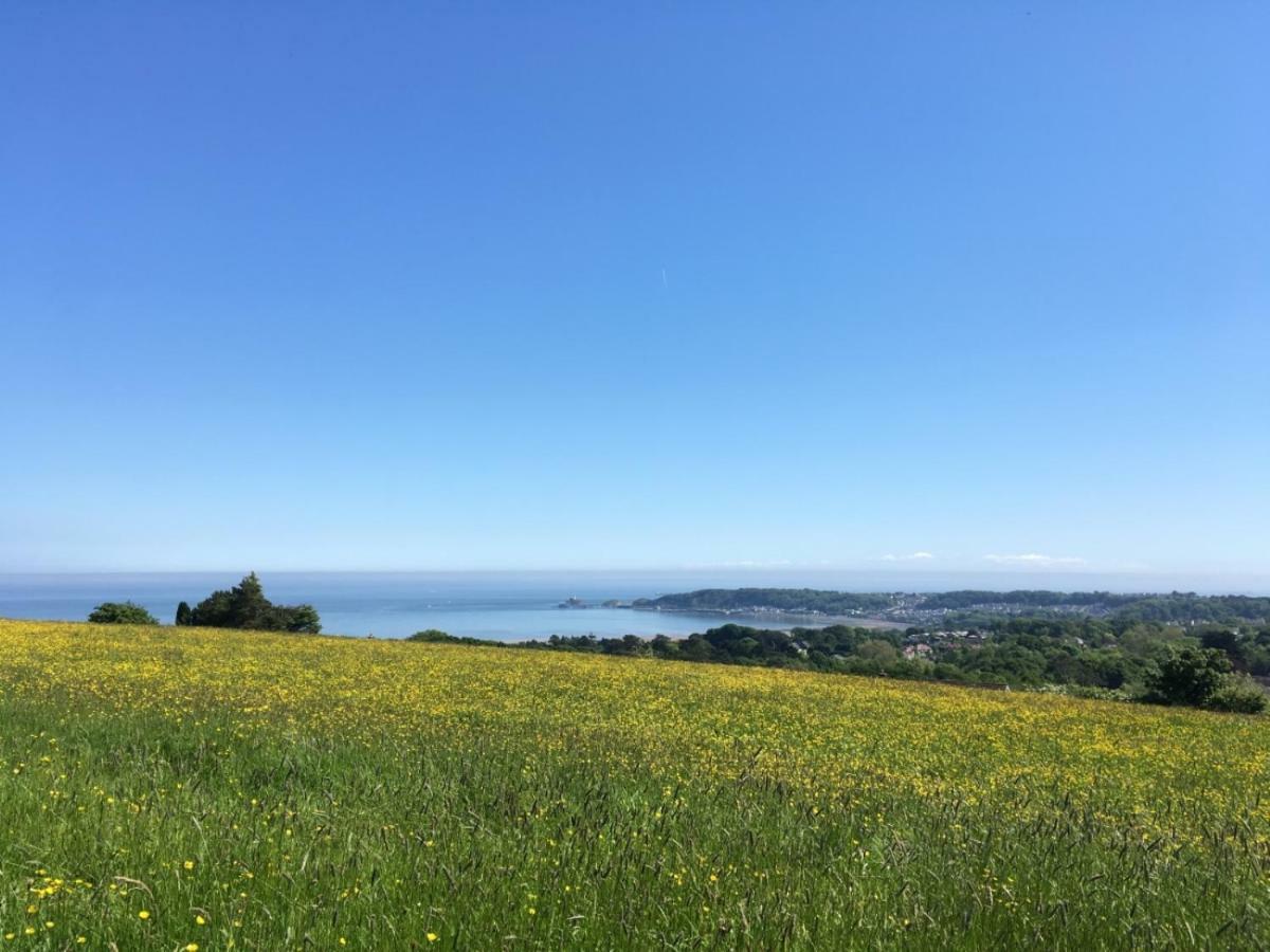 Clyne Farm Centre Villa The Mumbles Esterno foto