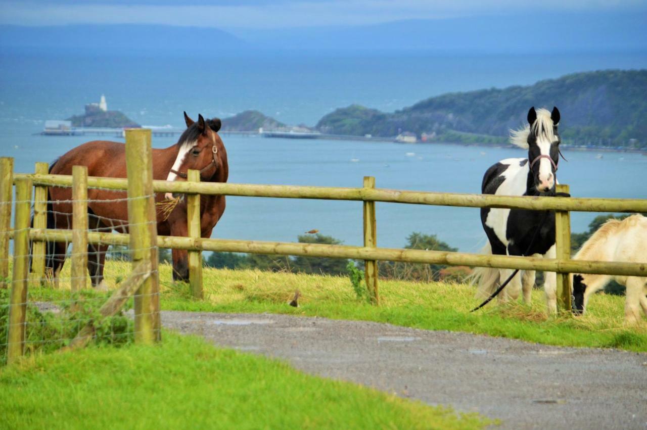 Clyne Farm Centre Villa The Mumbles Esterno foto